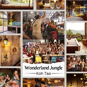 Auberge de jeunesse Wonderland Jungle 